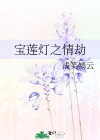 宝莲灯之情劫