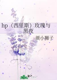 玫瑰与西服全文免费阅读 小说