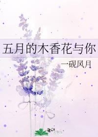 五月的木香花与你