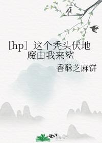 ［hp］这个秃头伏地魔由我来鲨