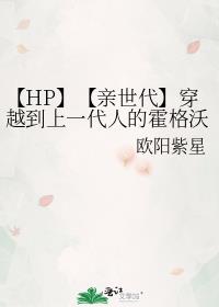 【HP】【亲世代】穿越到上一代人的霍格沃茨