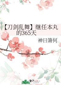 【刀剑乱舞】继任本丸的365天