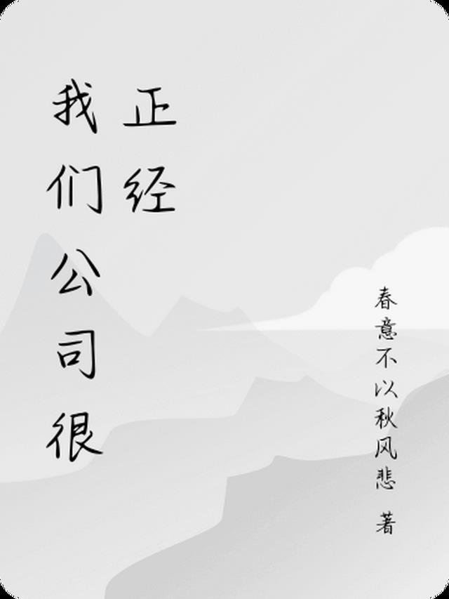 正经游戏公司