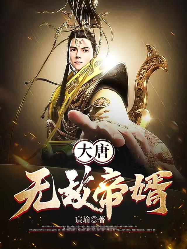 大唐无敌赘婿百度百科