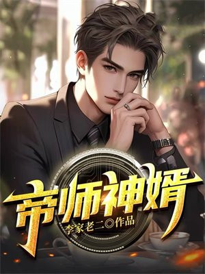 帝师王婿完整版