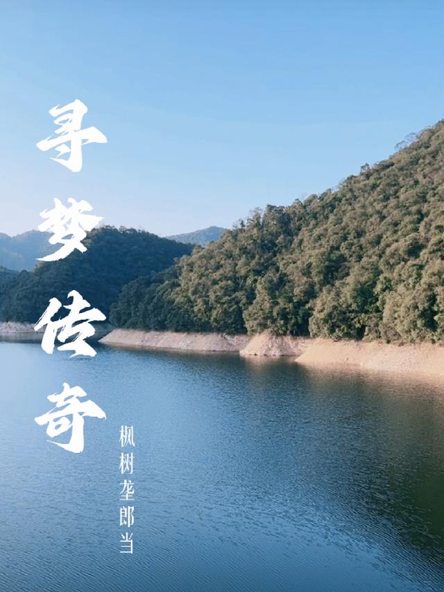 寻梦奇遇