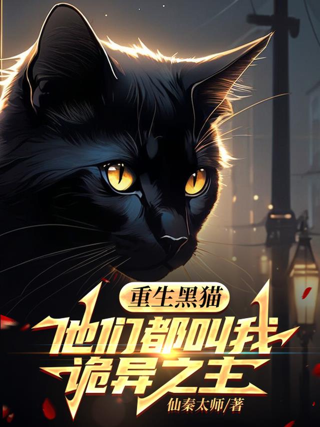 重生之黑猫的视觉