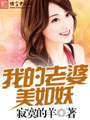 小说我的老婆是美女