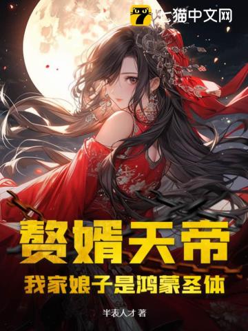 赘婿天帝:我家娘子是鸿蒙圣体小说