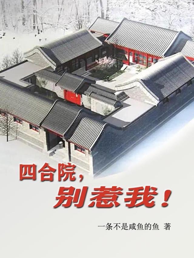 四合院:谁惹我