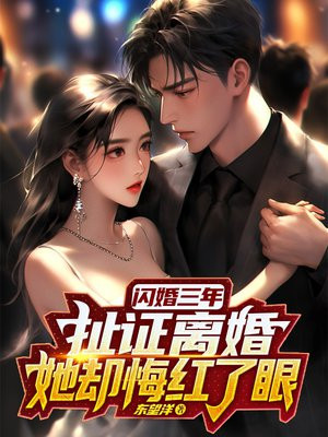 小说闪婚三年