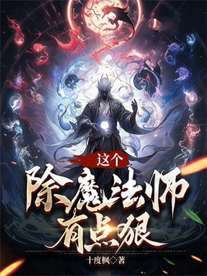 这个魔法师会拔剑 小说