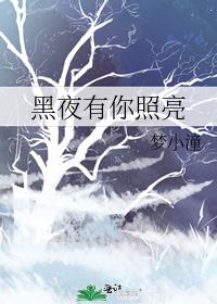 白雪照亮了黑夜