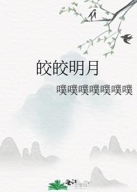 沈瑶陆晋元作者皎皎明月