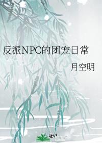 反派npc生存史小说